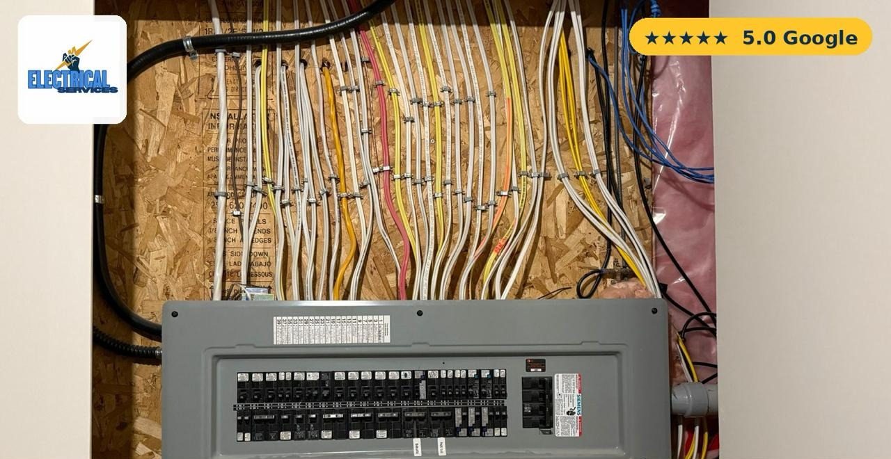 Panel & service upgrade